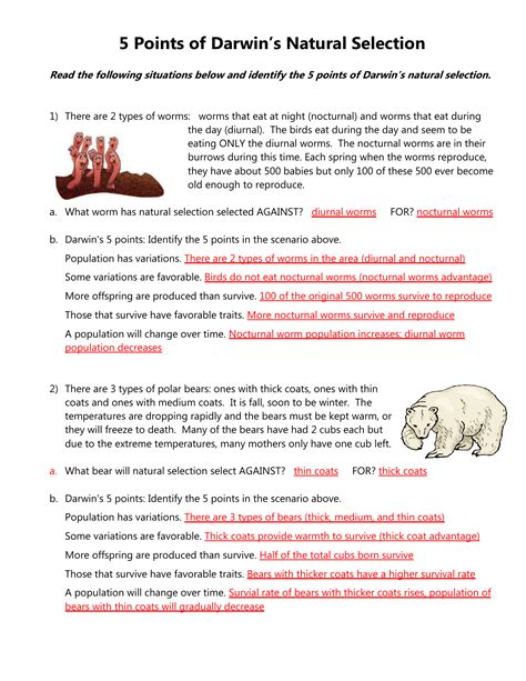 darwin's natural selection worksheet back page